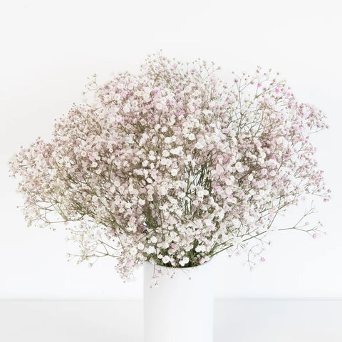 Tint Angel Pink Airbrushed Baby's Breath Flower Vase - Image