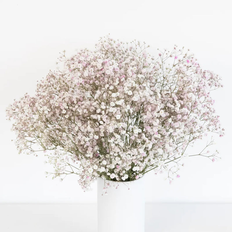 Tint Angel Pink Airbrushed Baby's Breath Flower Vase - Image