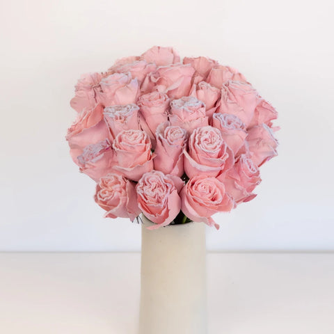 Tinted Blush Pink Fuzzy Roses Vase - Image