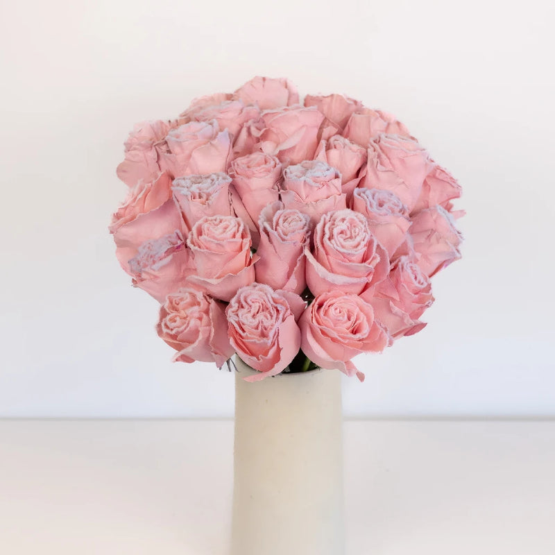 Tinted Blush Pink Fuzzy Roses Vase - Image