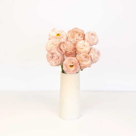 Tinted Brownie Ranunculus Vase - Image