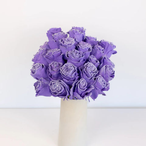 fuzzy lavender plant Buy Wholesale Tinted Lavender Fuzzy Roses in Bulk