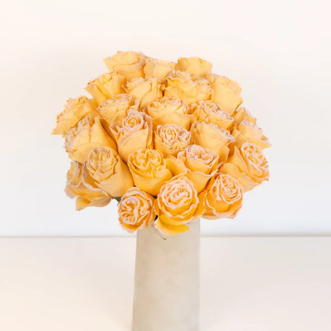 Tinted Peach Fuzzy Roses Vase - Image
