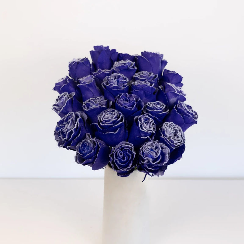 Tinted Purple Fuzzy Roses Vase - Image