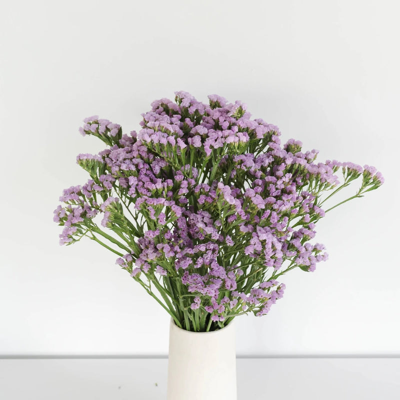 Tissue Culture Statice Lavender Flower Vase - Image