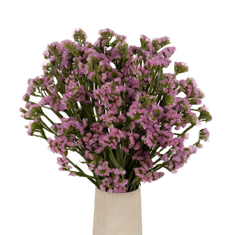 Tissue Culture Statice Medium Pink Flower Vase - Image