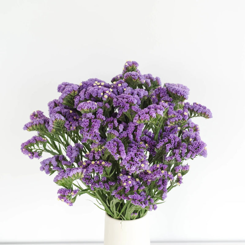 Tissue Culture Statice Purple Flower Vase - Image