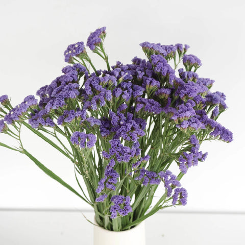 Tissue Culture Statice Purplish Blue Flower Vase - Image