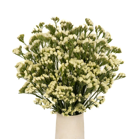 Tissue Culture Statice Yellow Flower Apron - Image