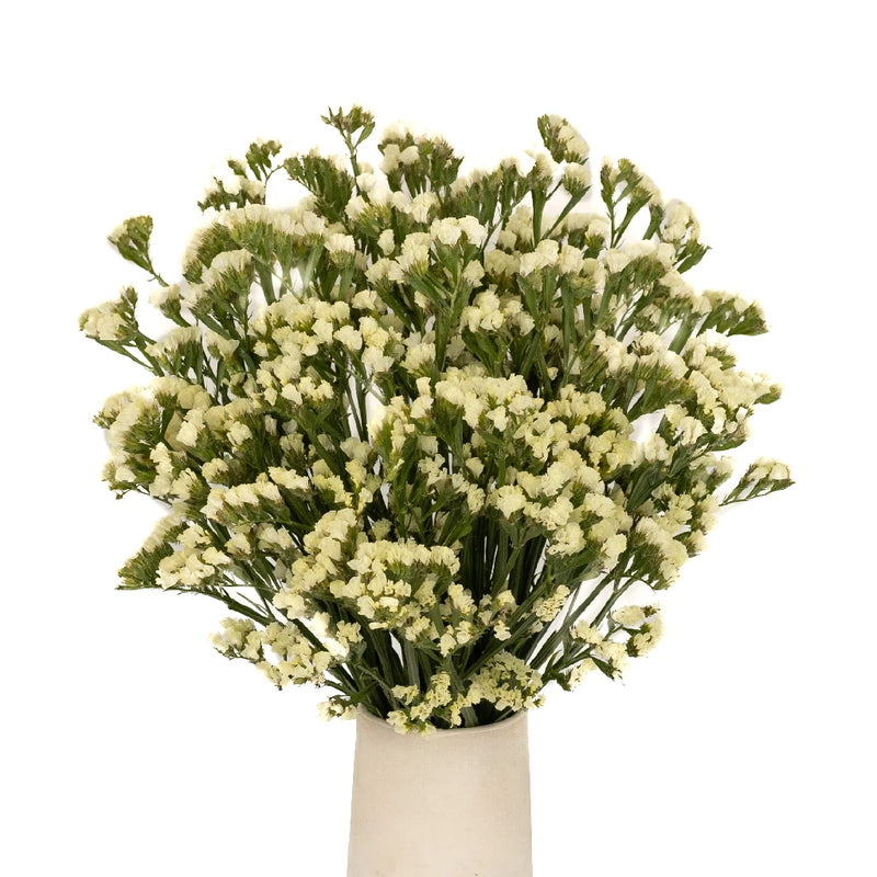 Tissue Culture Statice Yellow Flower Apron - Image