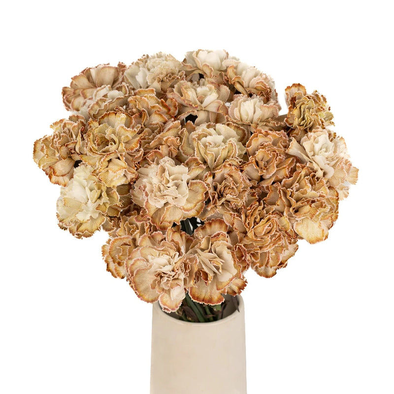 Toffee Beige Carnation Flower Vase - Image