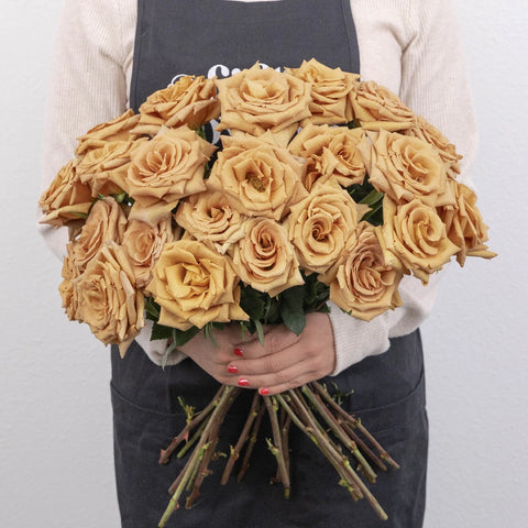 Toffee Rose Apron - Image