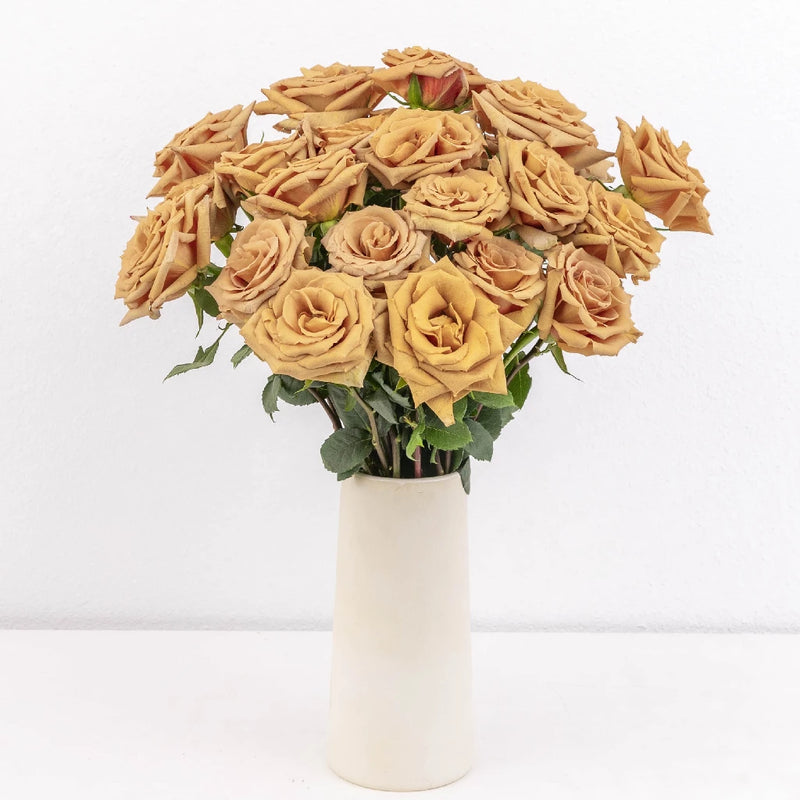 Toffee Rose Vase - Image