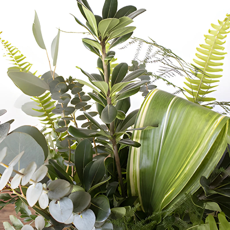 Tommy greenery mix up close