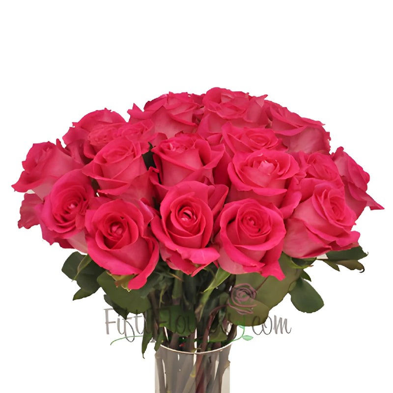Topaz Hot Pink Rose