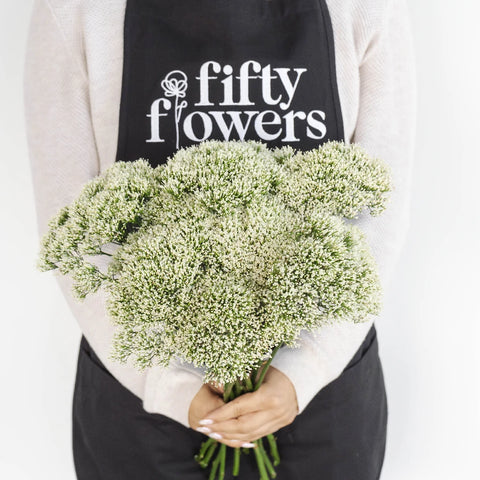 Trachelium White Flower Apron - Image