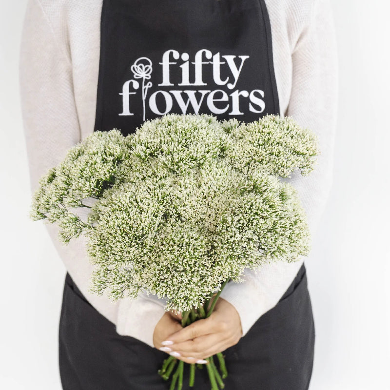 Trachelium White Flower Apron - Image