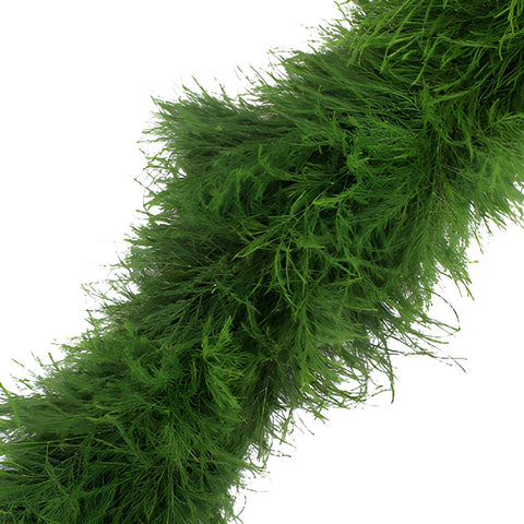 Tree Fern Garland