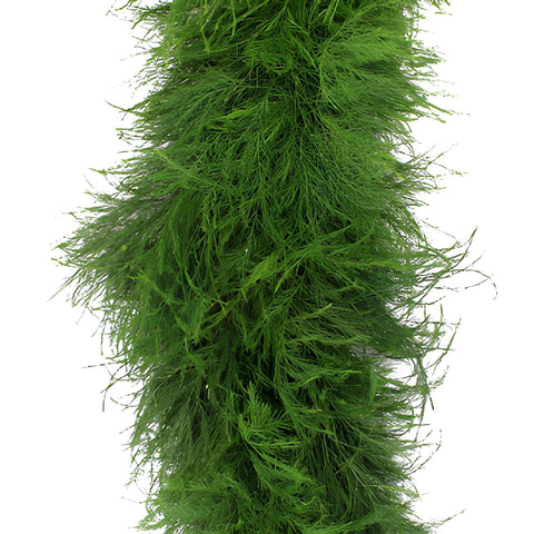 Tree Fern Garland