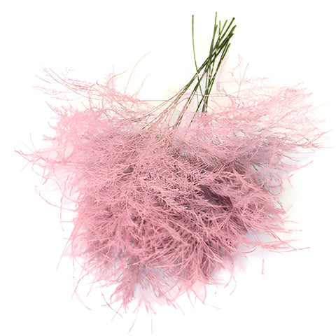 Bulk greenery pink tree fern filler flowers for sale near me as delivery