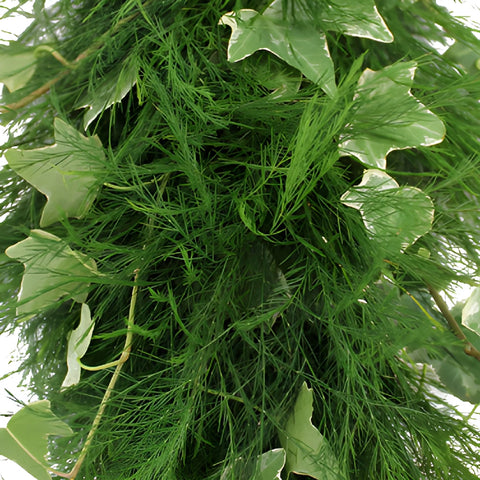 Tree Fern and Ivy Garland