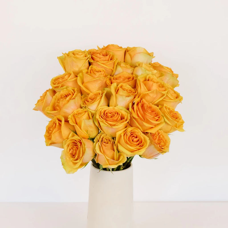 Tropic Versilla Roses Vase - Image