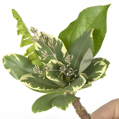 Tropical Greenery Bouquet and Boutonniere