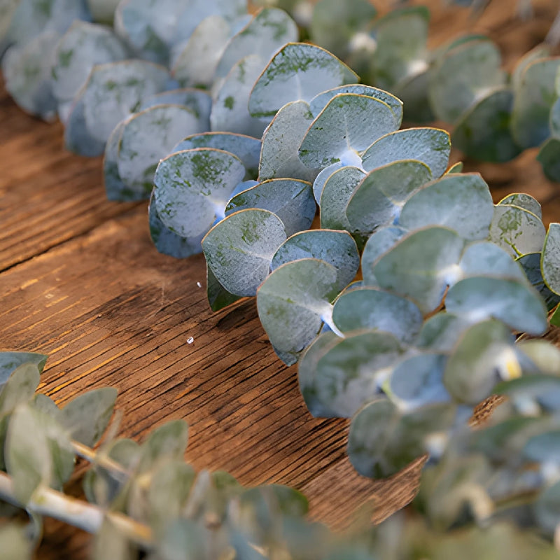 True Blue Eucalyptus Greenery Up Close FlatLay