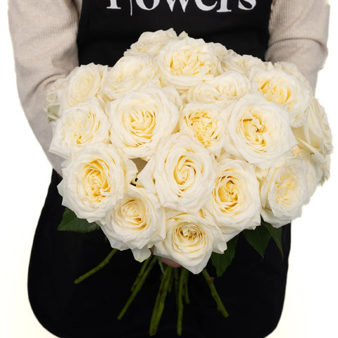 True White Garden Roses Apron - Image
