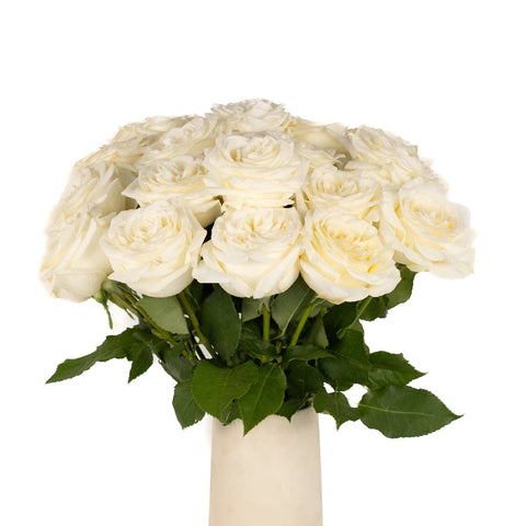True White Garden Roses Vase - Image