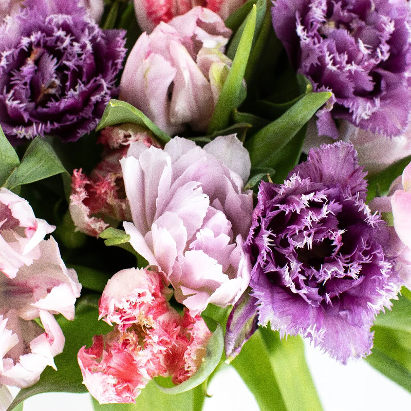 Tulip Love Valentine Bouquet Stem - Image