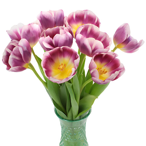 Berry Cracker Tulips Wholesale Flower In a vase