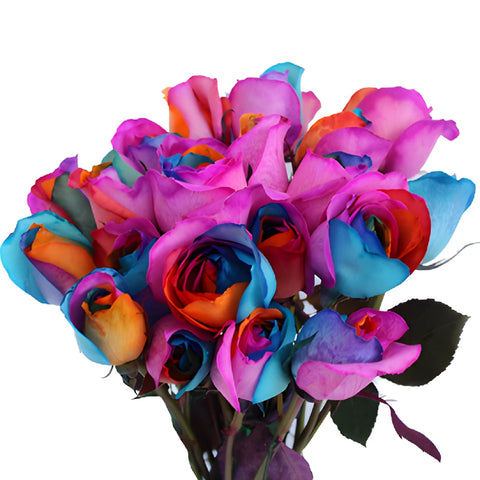 Groovy Rainbow Tinted Roses