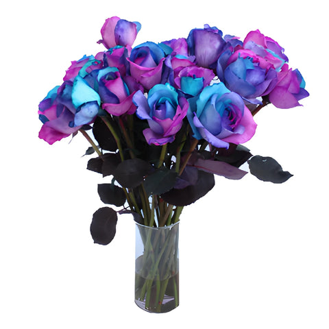 Turquoise, Pink and Purple Tinted Rainbow Roses