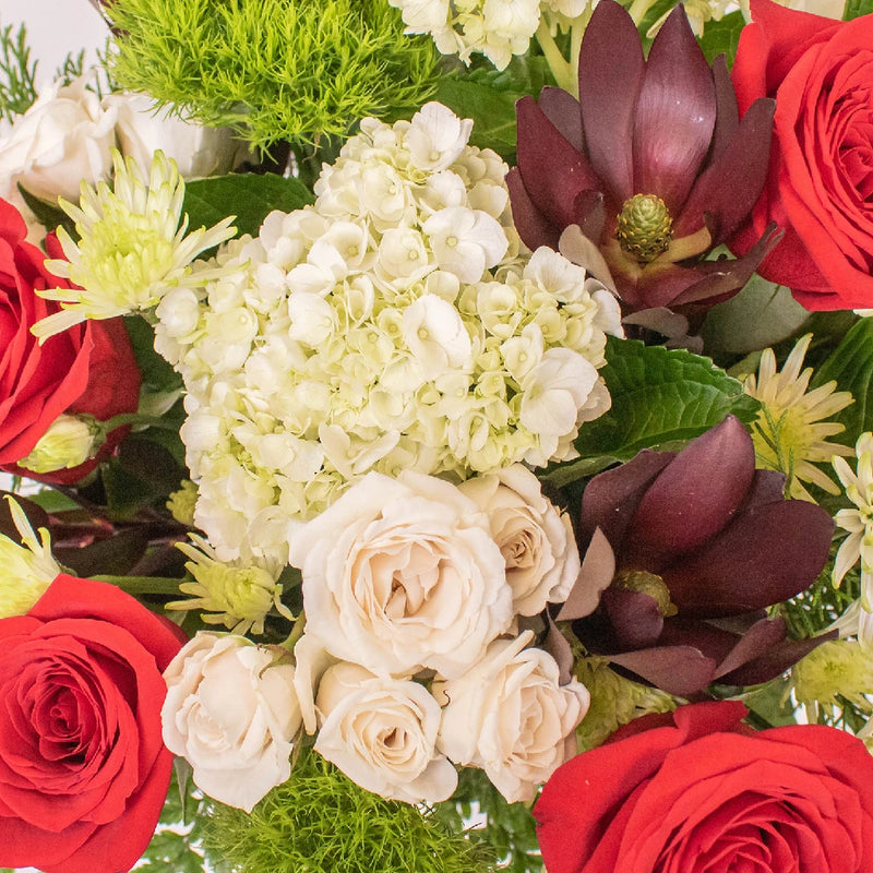 Fire Red Holiday Rose Bouquet