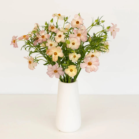 Unique Pink Butterfly Ranunculus Flower Vase - Image