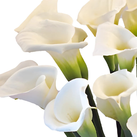 Valentine Calla Lily Flower Arrangement Close Up - Image