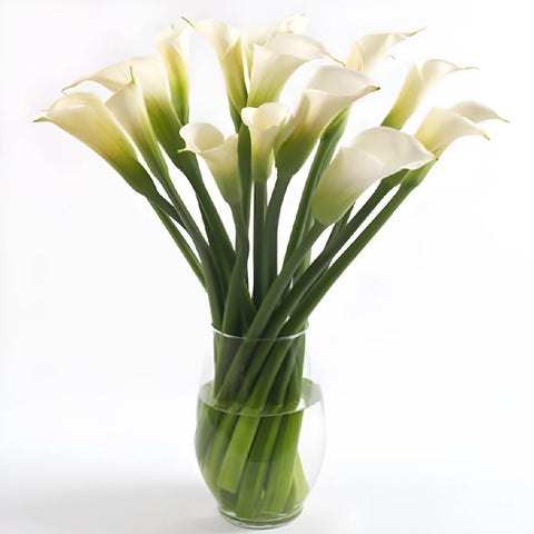 Valentine Calla Lily Flower Arrangement Hand - Image