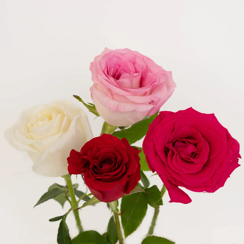 Valentines Day Love Pack Rose Special Stem - Image