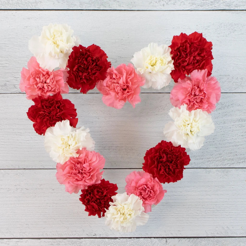 Valentine's Love Pack Assorted Carnation Flower Special