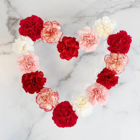Valentine's Love Pack Assorted Carnation Flower Special - Image