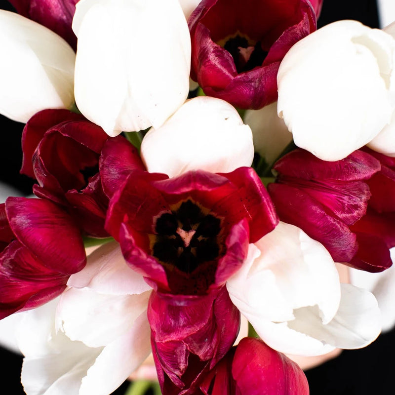 Valentines Love Tulip Special Stem - Image