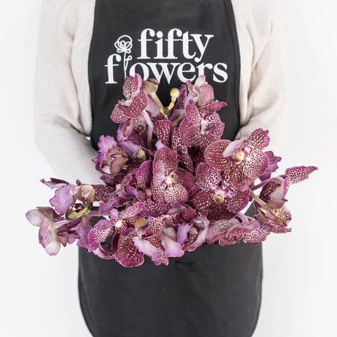 Vanda Orchids Pink Butterfly Apron - Image