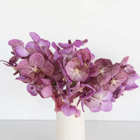 Vanda Orchids Pink Butterfly Vase - Image