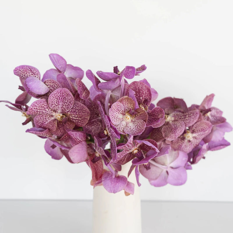 Vanda Orchids Pink Butterfly Vase - Image