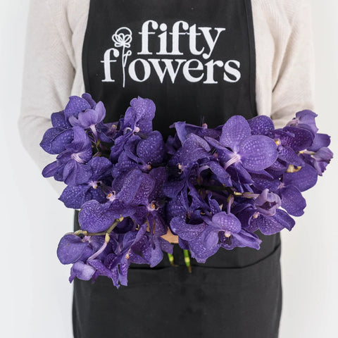 Vanda Orchids Royal Blue Close Up - Image