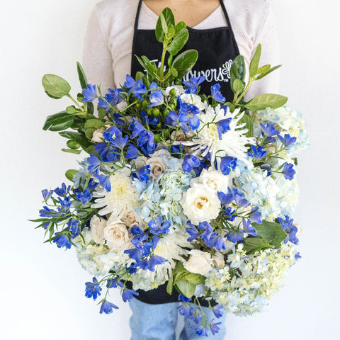 Varsity Blues Diy Combo Pack Apron - Image