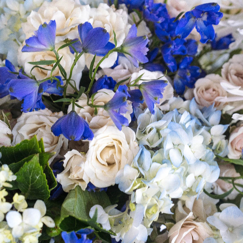 Varsity Blues Diy Combo Pack Close Up - Image