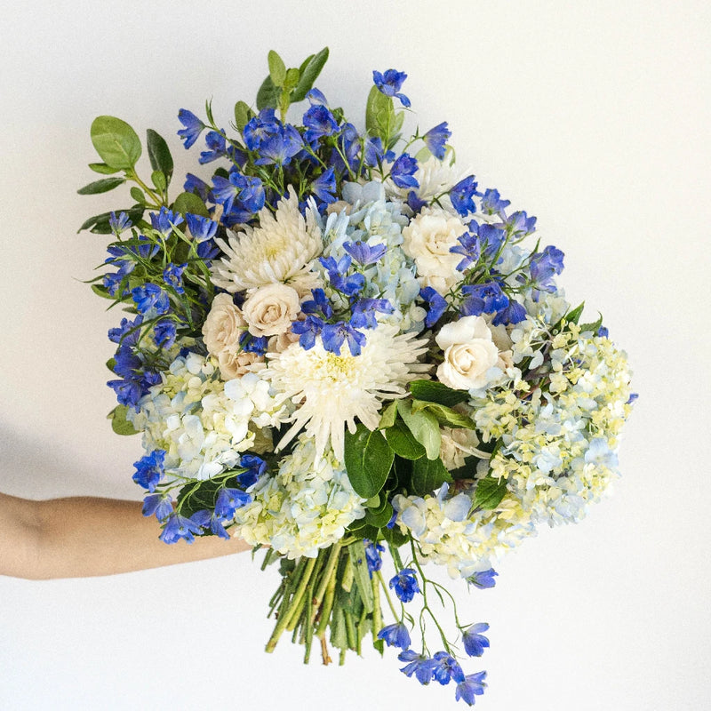 Varsity Blues Diy Combo Pack Hand - Image