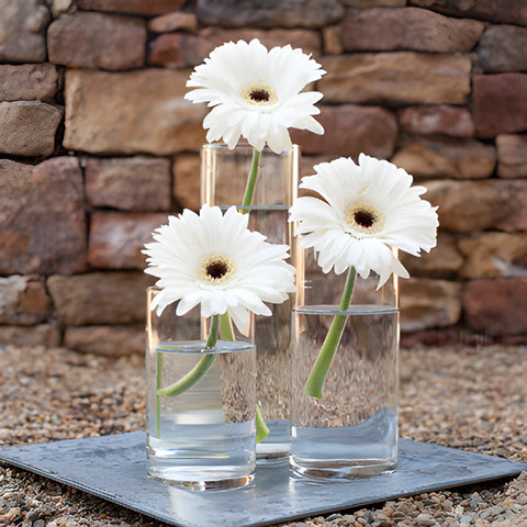 Simple Gerbera Centerpiece Single